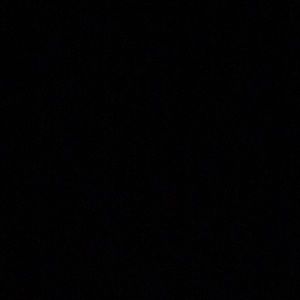 Meet your Posher, Ella